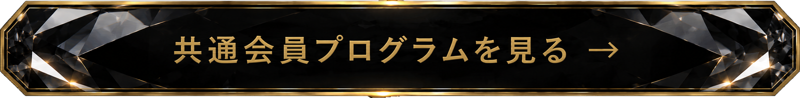 共通会員プログラムを見る →